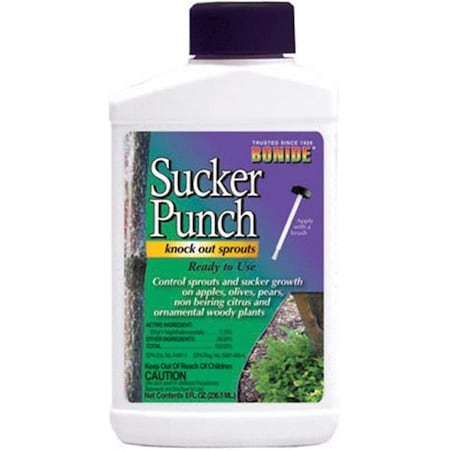Bonide Products Bonide Products 276 8 oz. Ready To Use Sucker Punch Brush Top 175080